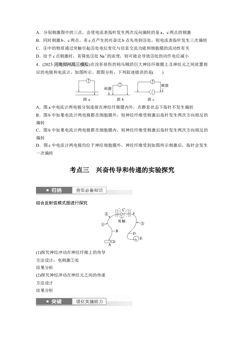 第8单元　第3课时　神经冲动的产生、传导和传递_2024年新高考资料_1.2024一轮复习_2024年高考生物一轮复习讲义（新人教版）_学生版在此文件夹_大一轮复习讲义_第八单元　生命活动的调节