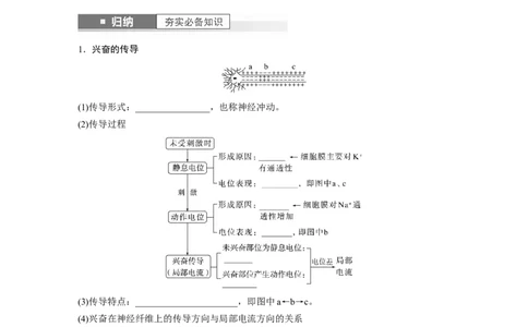 第8单元　第3课时　神经冲动的产生、传导和传递_2024年新高考资料_1.2024一轮复习_2024年高考生物一轮复习讲义（新人教版）_学生版在此文件夹_大一轮复习讲义_第八单元　生命活动的调节