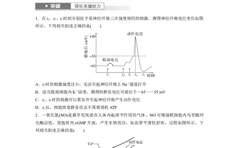 第8单元　第3课时　神经冲动的产生、传导和传递_2024年新高考资料_1.2024一轮复习_2024年高考生物一轮复习讲义（新人教版）_学生版在此文件夹_大一轮复习讲义_第八单元　生命活动的调节