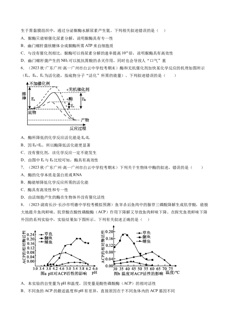 第8.1讲降低化学反应活化能的酶（练习）（原卷版）_2024年新高考资料_1.2024一轮复习_2024年高考生物一轮复习讲练测（新教材新高考）