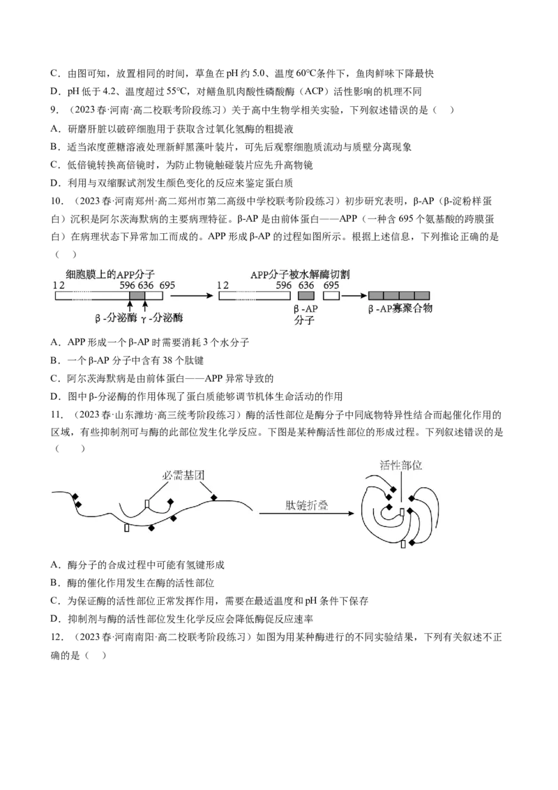 第8.1讲降低化学反应活化能的酶（练习）（原卷版）_2024年新高考资料_1.2024一轮复习_2024年高考生物一轮复习讲练测（新教材新高考）
