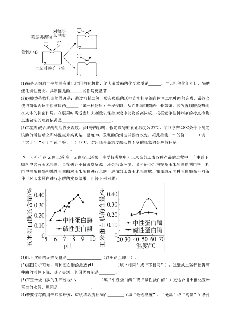 第8.1讲降低化学反应活化能的酶（练习）（原卷版）_2024年新高考资料_1.2024一轮复习_2024年高考生物一轮复习讲练测（新教材新高考）