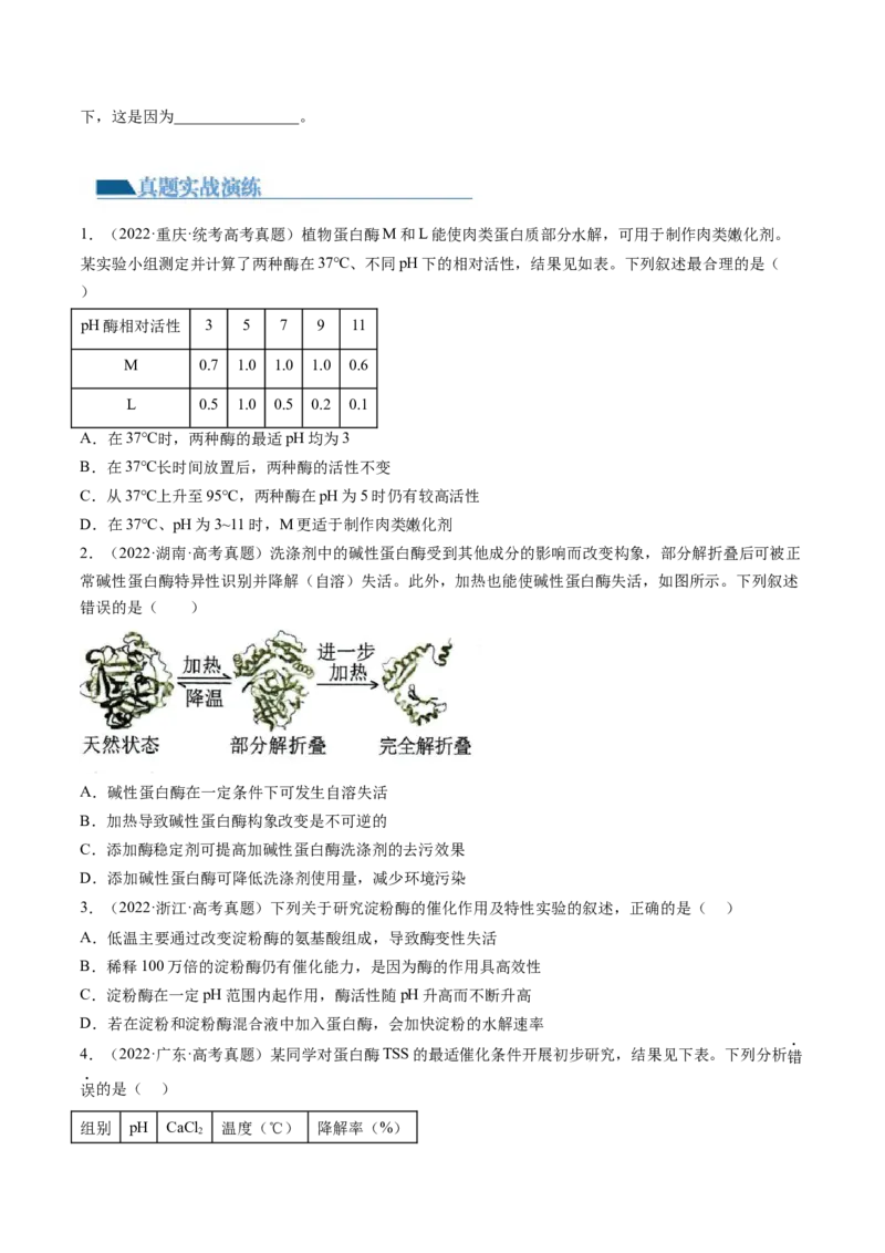 第8.1讲降低化学反应活化能的酶（练习）（原卷版）_2024年新高考资料_1.2024一轮复习_2024年高考生物一轮复习讲练测（新教材新高考）