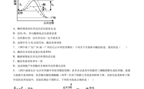 第8.1讲降低化学反应活化能的酶（练习）（原卷版）_2024年新高考资料_1.2024一轮复习_2024年高考生物一轮复习讲练测（新教材新高考）