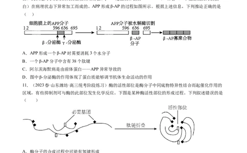 第8.1讲降低化学反应活化能的酶（练习）（原卷版）_2024年新高考资料_1.2024一轮复习_2024年高考生物一轮复习讲练测（新教材新高考）