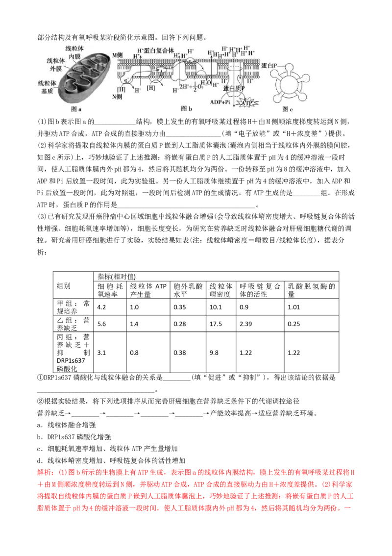 专题06细胞代谢（解析版）_2025年新高考资料_二轮复习_2025年高考生物二轮热点题型归纳与变式演练（新高考通用）3404350