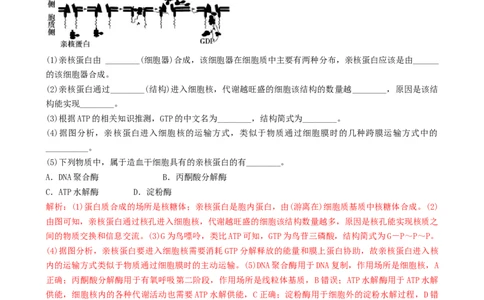 专题06细胞代谢（解析版）_2025年新高考资料_二轮复习_2025年高考生物二轮热点题型归纳与变式演练（新高考通用）3404350