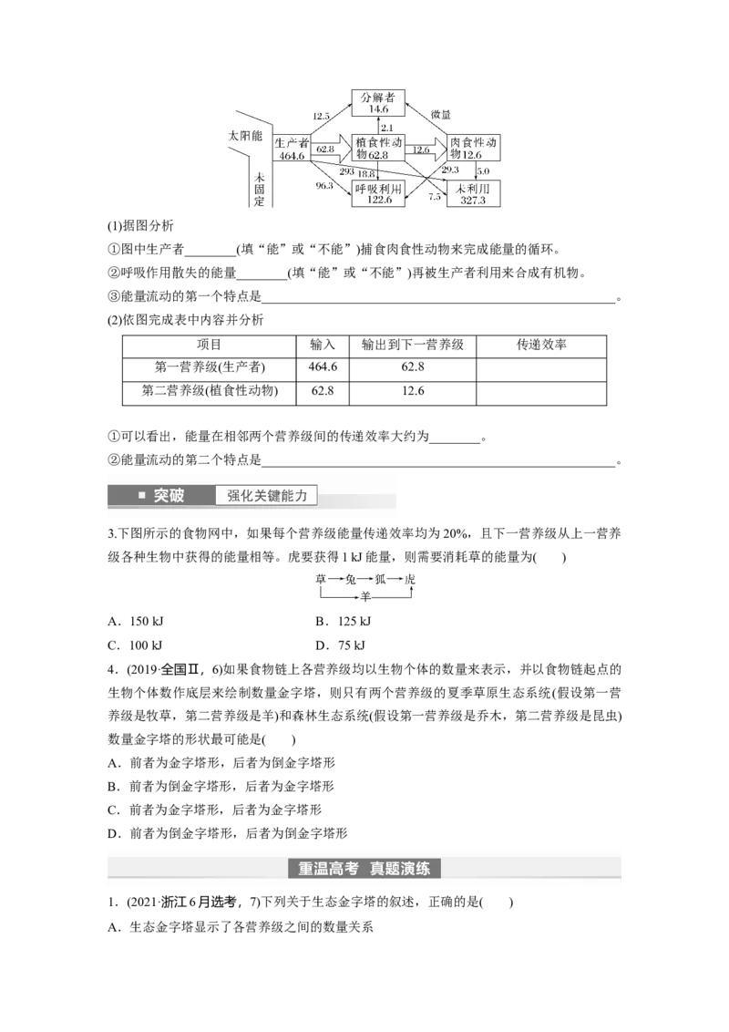 第9单元　第6课时　生态系统的能量流动_2024年新高考资料_1.2024一轮复习_2024年高考生物一轮复习讲义（新人教版）_学生版在此文件夹_大一轮复习讲义_第九单元　生物与环境