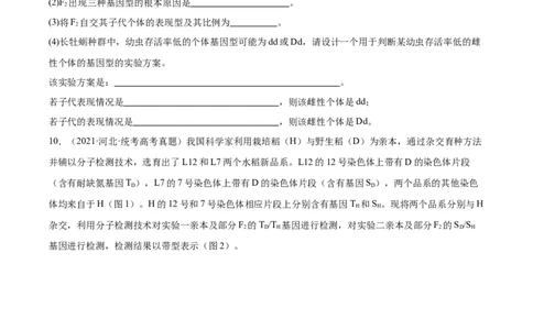 考点通关卷15基因的分离定律（原卷版）_2024年新高考资料_1.2024一轮复习_2024年高考生物一轮复习考点通关卷（新高考通用）