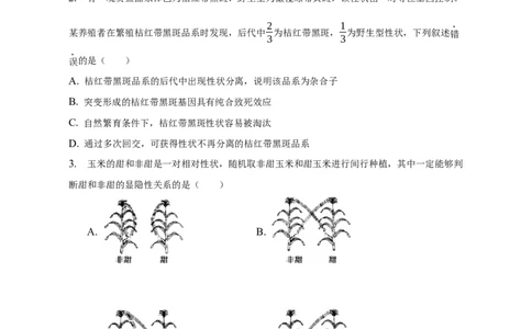 专题07孟德尔遗传规律（测试卷）-2023年高考生物二轮复习讲练测（全国通用）（原卷版）_通用版（老高考）复习资料_2023年复习资料_二轮复习_2023年高考生物二轮复习讲练测（全国通用）