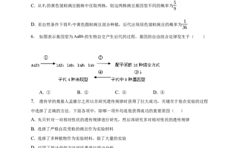 专题07孟德尔遗传规律（测试卷）-2023年高考生物二轮复习讲练测（全国通用）（原卷版）_通用版（老高考）复习资料_2023年复习资料_二轮复习_2023年高考生物二轮复习讲练测（全国通用）