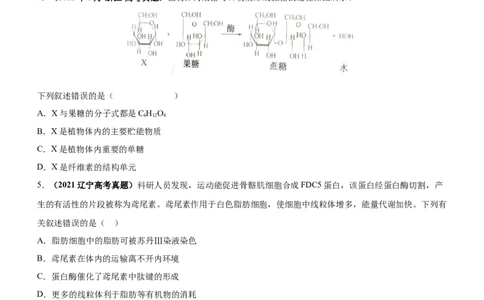 专题01细胞的分子组成（练）-2023年高考生物二轮复习讲练测（全国通用）（原卷版）_通用版（老高考）复习资料_2023年复习资料_二轮复习_2023年高考生物二轮复习讲练测（全国通用）