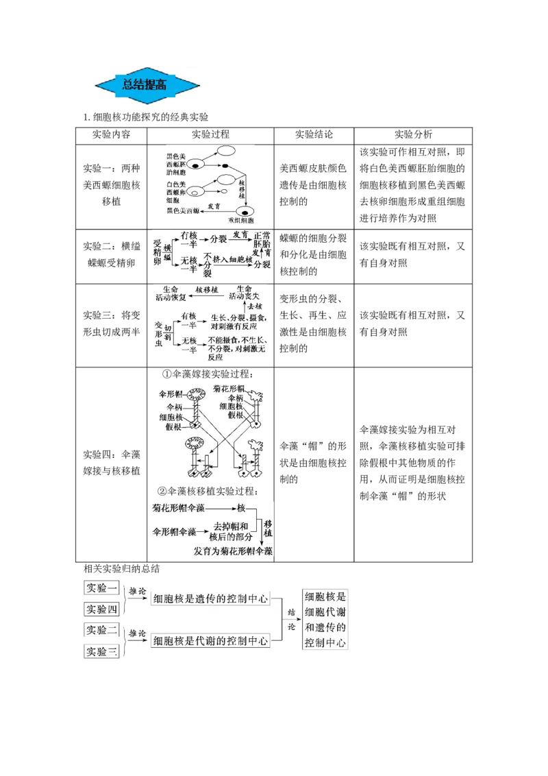 专题04细胞膜和细胞核（串讲）（原卷版）_新高考复习资料_2024年新高考复习资料_一轮复习资料_完备战2024年高考生物一轮复习串讲精练（新高考专用）_串讲
