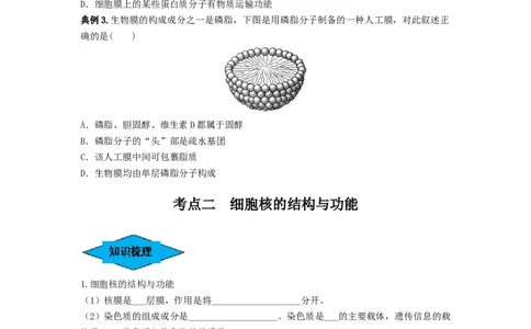 专题04细胞膜和细胞核（串讲）（原卷版）_新高考复习资料_2024年新高考复习资料_一轮复习资料_完备战2024年高考生物一轮复习串讲精练（新高考专用）_串讲