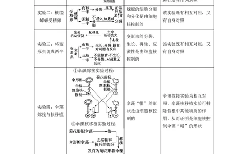 专题04细胞膜和细胞核（串讲）（原卷版）_新高考复习资料_2024年新高考复习资料_一轮复习资料_完备战2024年高考生物一轮复习串讲精练（新高考专用）_串讲