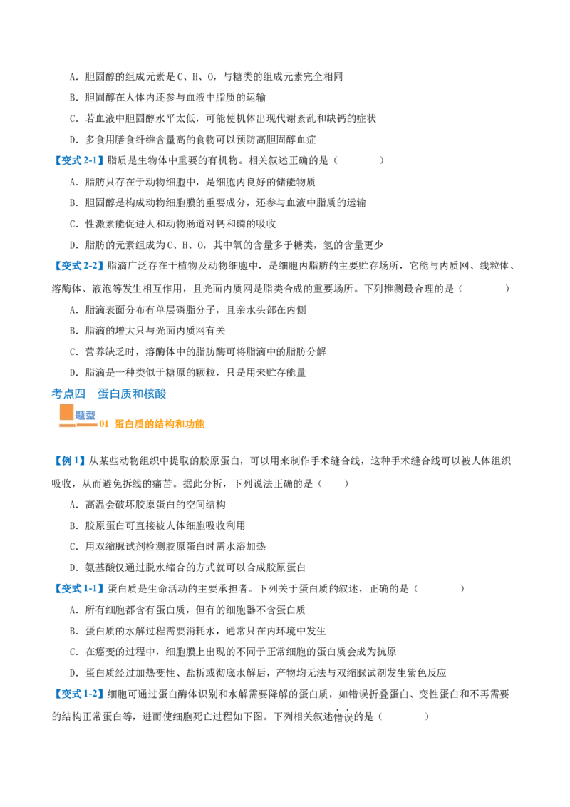 专题01细胞的概述及其组成分子（11大题型）（原卷版）_2025年新高考资料_一轮复习_备战2025年高考生物一轮复习题型全覆盖（新高考通用）