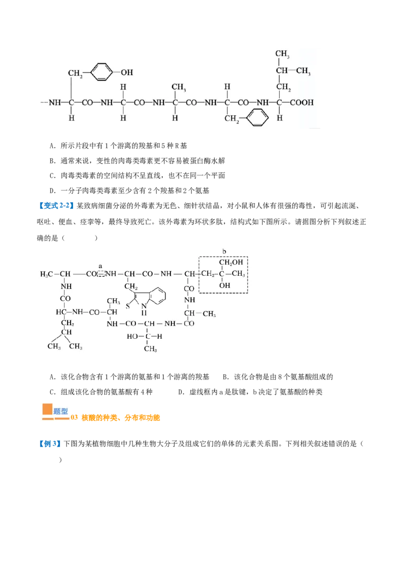 专题01细胞的概述及其组成分子（11大题型）（原卷版）_2025年新高考资料_一轮复习_备战2025年高考生物一轮复习题型全覆盖（新高考通用）