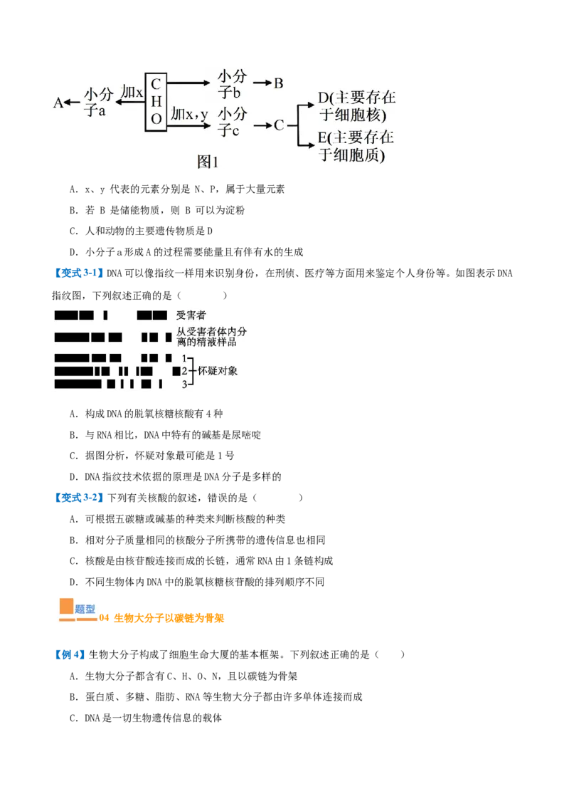 专题01细胞的概述及其组成分子（11大题型）（原卷版）_2025年新高考资料_一轮复习_备战2025年高考生物一轮复习题型全覆盖（新高考通用）
