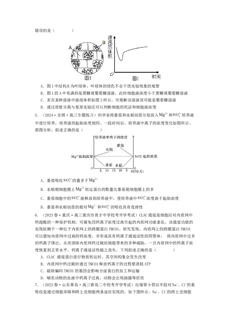 专题07物质的运输（原卷版）_通用版（老高考）复习资料_2024年复习资料_完备战2024年高考生物一轮复习抢分特训（全国通用）