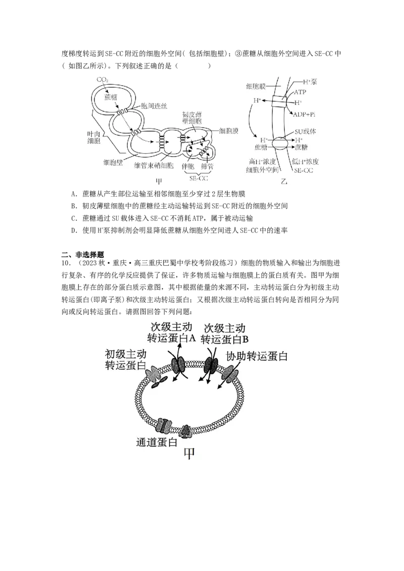 专题07物质的运输（原卷版）_通用版（老高考）复习资料_2024年复习资料_完备战2024年高考生物一轮复习抢分特训（全国通用）