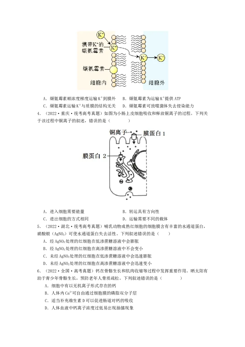 专题07物质的运输（原卷版）_通用版（老高考）复习资料_2024年复习资料_完备战2024年高考生物一轮复习抢分特训（全国通用）