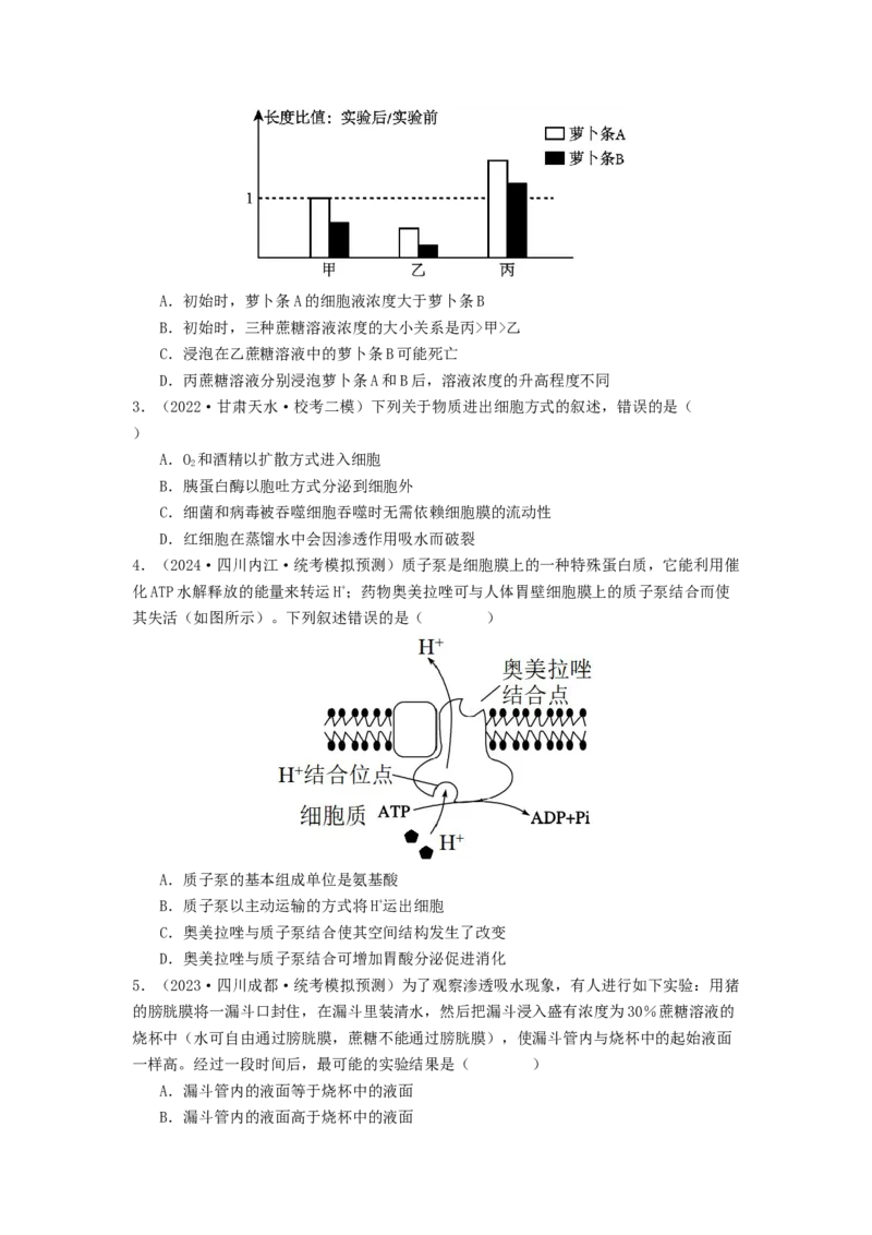 专题07物质的运输（原卷版）_通用版（老高考）复习资料_2024年复习资料_完备战2024年高考生物一轮复习抢分特训（全国通用）