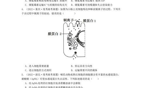 专题07物质的运输（原卷版）_通用版（老高考）复习资料_2024年复习资料_完备战2024年高考生物一轮复习抢分特训（全国通用）