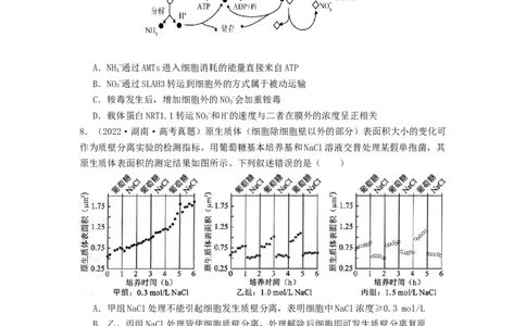 专题07物质的运输（原卷版）_通用版（老高考）复习资料_2024年复习资料_完备战2024年高考生物一轮复习抢分特训（全国通用）