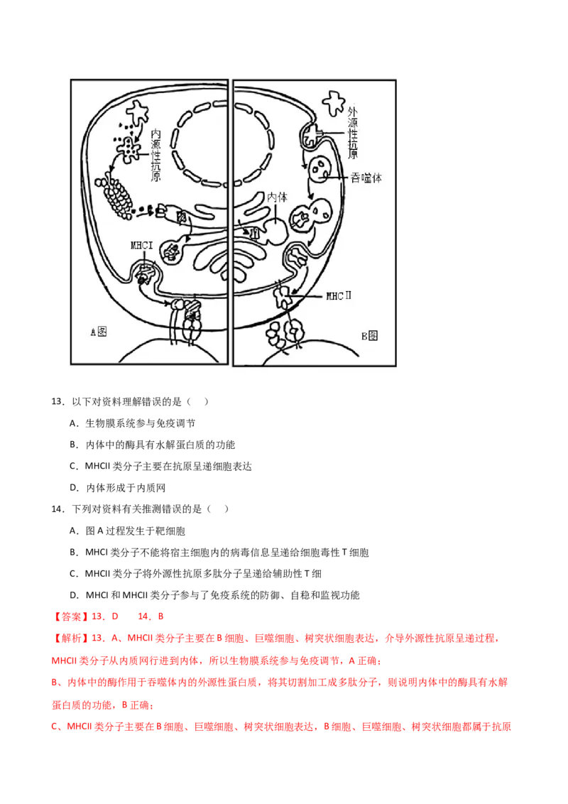 黄金卷01（解析版）-赢在高考&middot;黄金8卷备战2024年高考生物模拟卷（浙江专用）_2024年新高考资料_4.2024高考模拟预测试卷