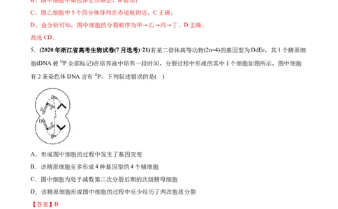 专题05有丝分裂和减数分裂-2020年高考真题和模拟题生物分项汇编（教师版含解析）_新高考复习资料_2022年新高考复习资料_2022年一轮复习最新版