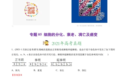 专题05细胞的分化、衰老、凋亡及癌变-2021年高考生物真题与模拟题分类训练（教师版含解析）_新高考复习资料_2023年新高考复习资料_一轮复习_2023年新高考大一轮复习讲义