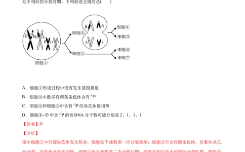 专题05细胞的分化、衰老、凋亡及癌变-2021年高考生物真题与模拟题分类训练（教师版含解析）_新高考复习资料_2023年新高考复习资料_一轮复习_2023年新高考大一轮复习讲义