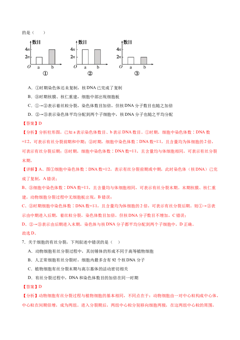 考点通关卷12细胞增殖（解析版）_2024年新高考资料_1.2024一轮复习_2024年高考生物一轮复习考点通关卷（新高考通用）_考点通关卷12+细胞增殖-2024年高考生物一轮复习考点通关卷