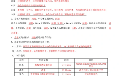 考点通关卷12细胞增殖（解析版）_2024年新高考资料_1.2024一轮复习_2024年高考生物一轮复习考点通关卷（新高考通用）_考点通关卷12+细胞增殖-2024年高考生物一轮复习考点通关卷