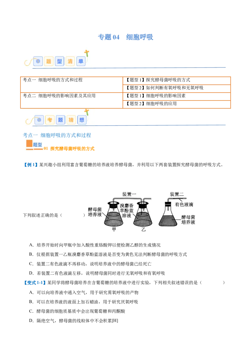 专题04细胞呼吸（4大题型）（原卷版）_2025年新高考资料_一轮复习_备战2025年高考生物一轮复习题型全覆盖（新高考通用）