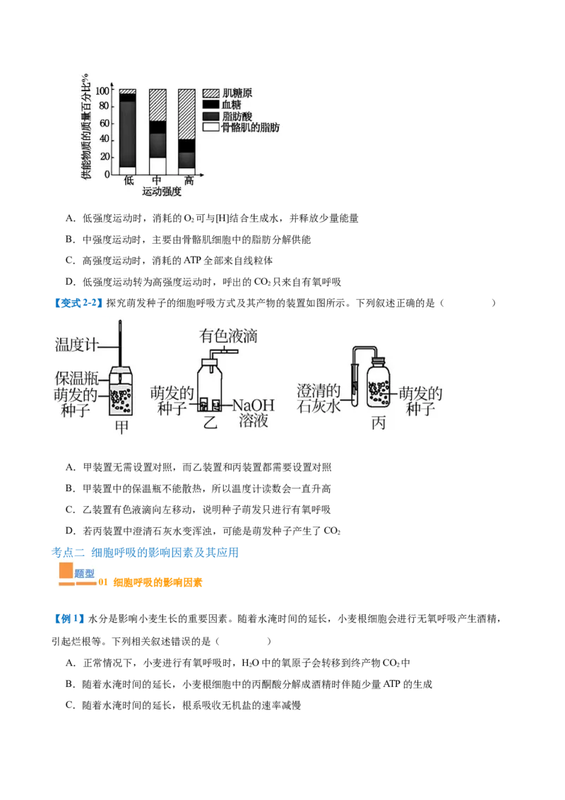 专题04细胞呼吸（4大题型）（原卷版）_2025年新高考资料_一轮复习_备战2025年高考生物一轮复习题型全覆盖（新高考通用）