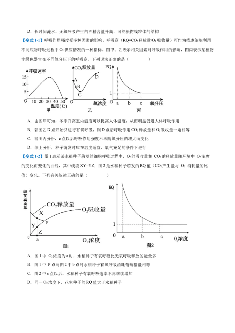 专题04细胞呼吸（4大题型）（原卷版）_2025年新高考资料_一轮复习_备战2025年高考生物一轮复习题型全覆盖（新高考通用）