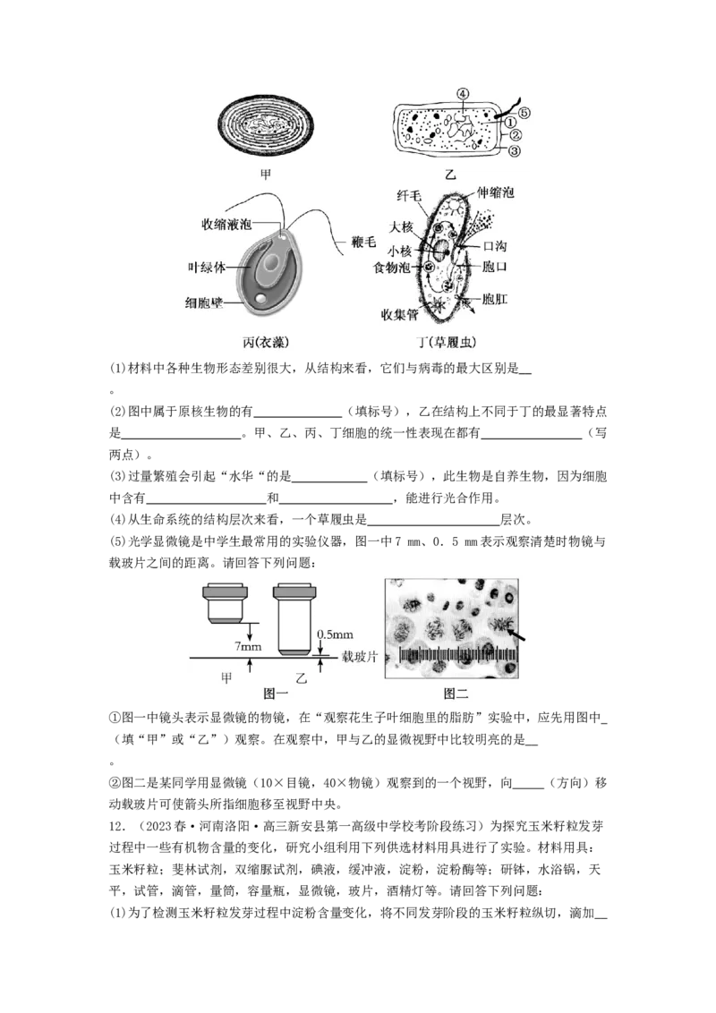 专题01细胞中的元素和无机物（原卷版）_通用版（老高考）复习资料_2024年复习资料_完备战2024年高考生物一轮复习抢分特训（全国通用）