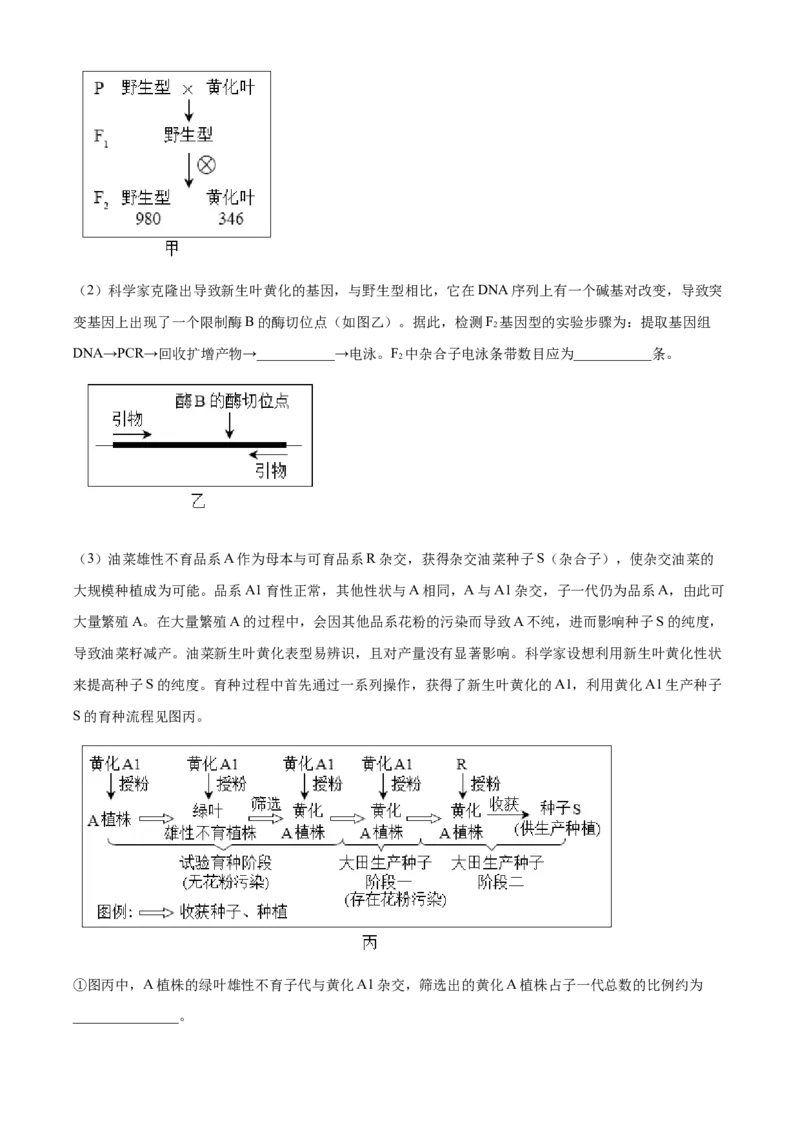 2023年高考生物试卷（北京）（含答案）_北京市高考历年真题_生物