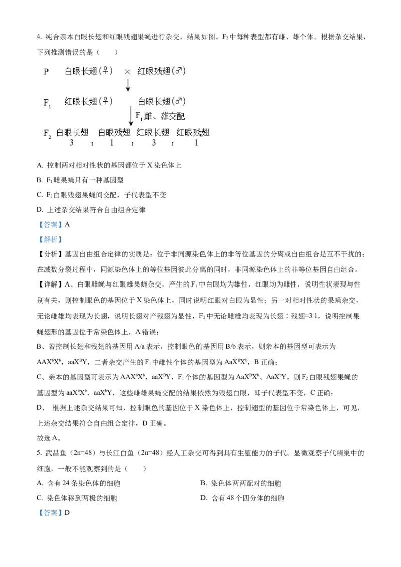 2023年高考生物试卷（北京）（含答案）_北京市高考历年真题_生物