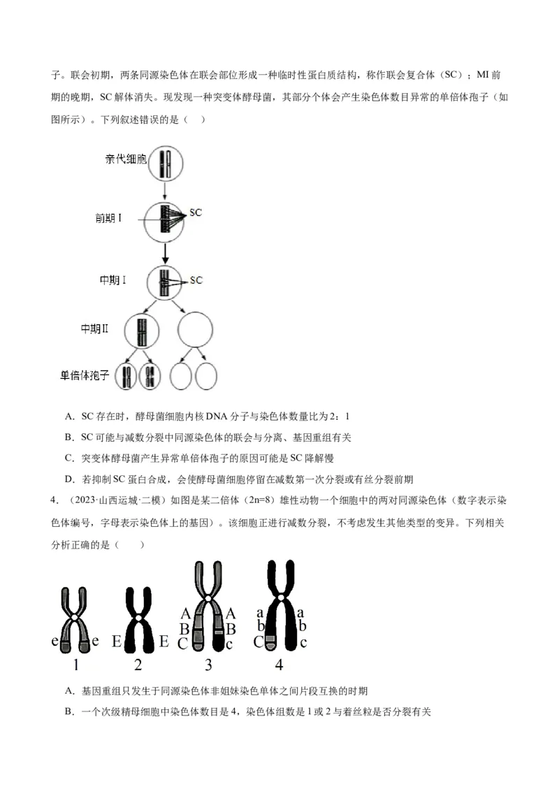 专题06变异与进化（讲义）（原卷版）_新高考复习资料_2024年新高考复习资料_二轮复习资料_高频考点解密2024年高考生物二轮复习高频考点追踪与预测（新高考专用）_讲义