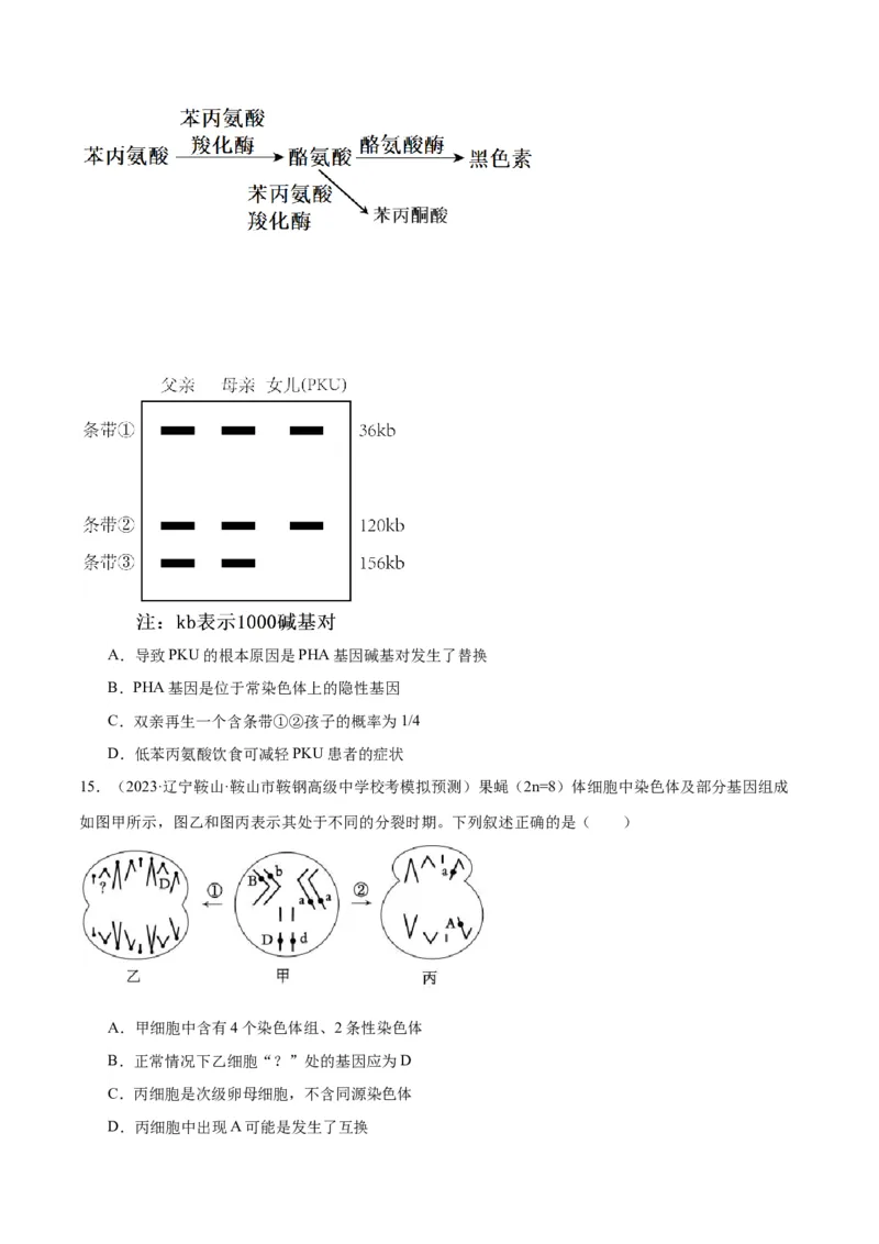 专题06变异与进化（讲义）（原卷版）_新高考复习资料_2024年新高考复习资料_二轮复习资料_高频考点解密2024年高考生物二轮复习高频考点追踪与预测（新高考专用）_讲义