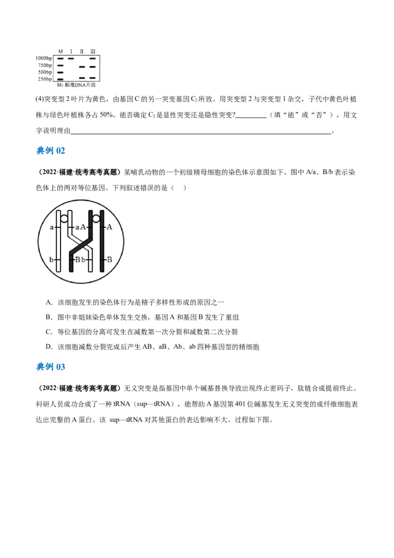 专题06变异与进化（讲义）（原卷版）_新高考复习资料_2024年新高考复习资料_二轮复习资料_高频考点解密2024年高考生物二轮复习高频考点追踪与预测（新高考专用）_讲义