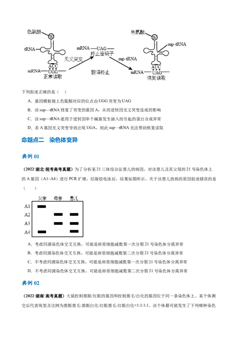 专题06变异与进化（讲义）（原卷版）_新高考复习资料_2024年新高考复习资料_二轮复习资料_高频考点解密2024年高考生物二轮复习高频考点追踪与预测（新高考专用）_讲义