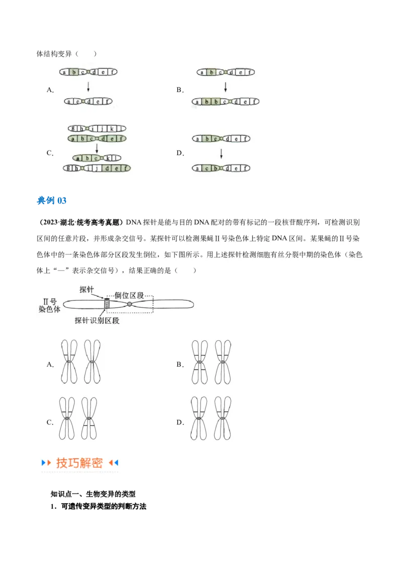 专题06变异与进化（讲义）（原卷版）_新高考复习资料_2024年新高考复习资料_二轮复习资料_高频考点解密2024年高考生物二轮复习高频考点追踪与预测（新高考专用）_讲义