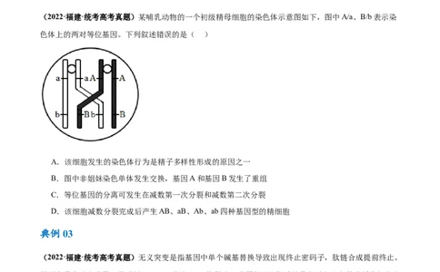 专题06变异与进化（讲义）（原卷版）_新高考复习资料_2024年新高考复习资料_二轮复习资料_高频考点解密2024年高考生物二轮复习高频考点追踪与预测（新高考专用）_讲义