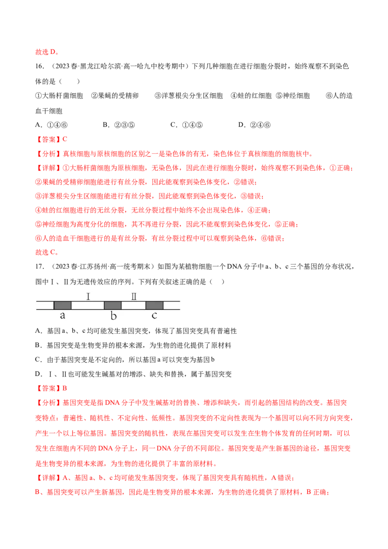 第四单元细胞的生命历程（测试）（解析版）_2024年新高考资料_1.2024一轮复习_2024年高考生物一轮复习讲练测（新教材新高考）