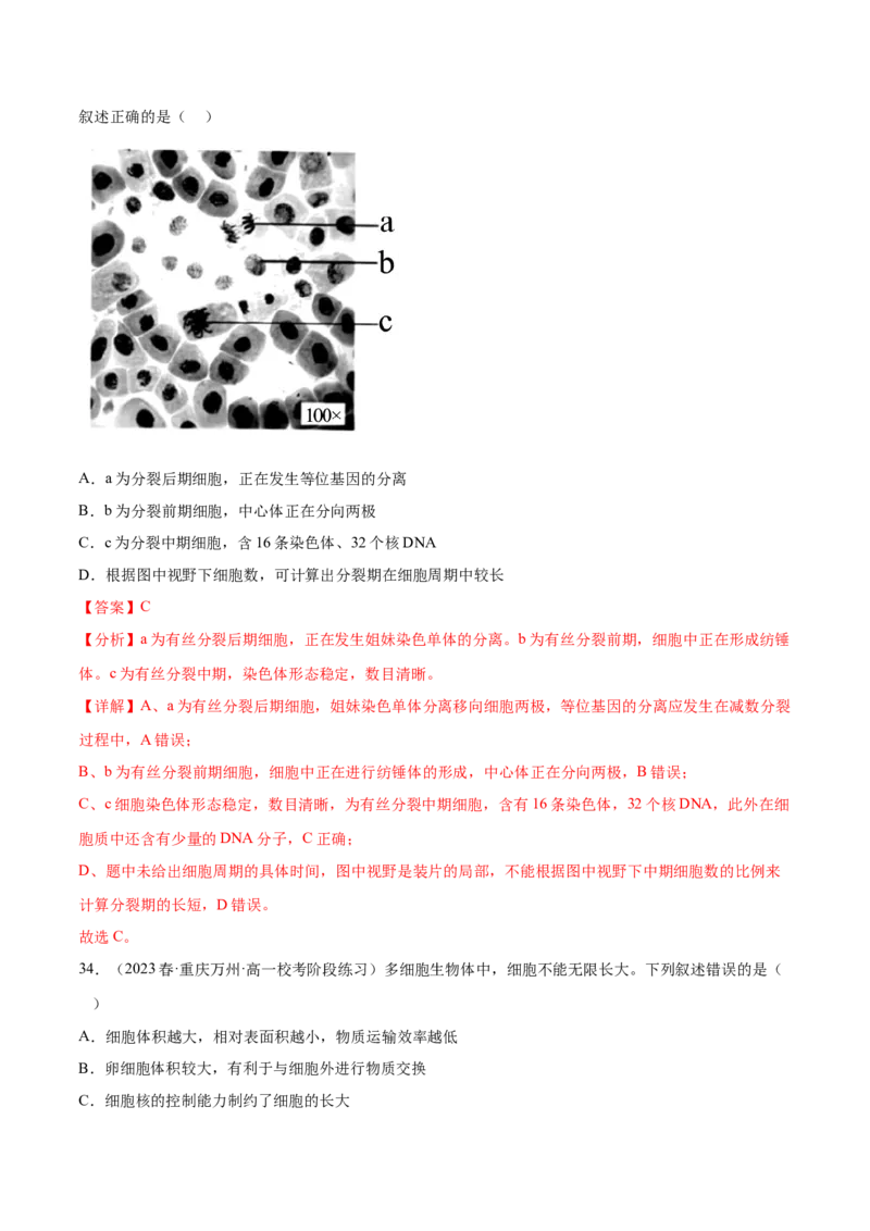 第四单元细胞的生命历程（测试）（解析版）_2024年新高考资料_1.2024一轮复习_2024年高考生物一轮复习讲练测（新教材新高考）