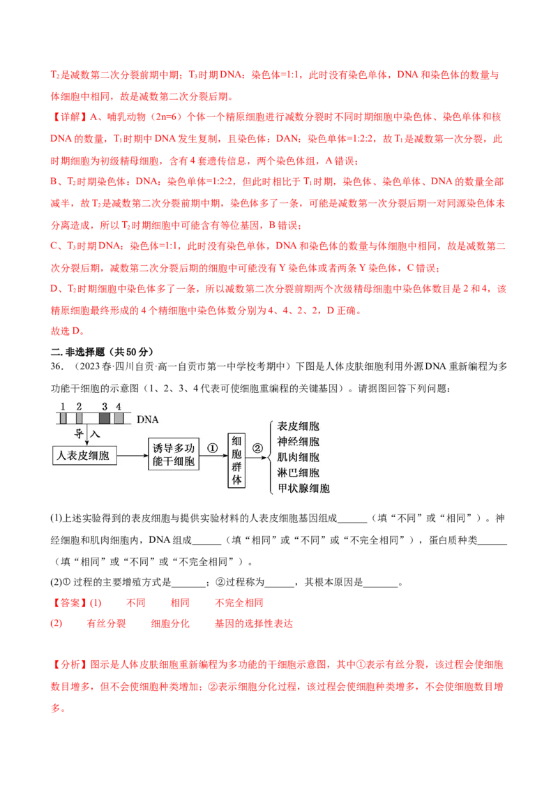 第四单元细胞的生命历程（测试）（解析版）_2024年新高考资料_1.2024一轮复习_2024年高考生物一轮复习讲练测（新教材新高考）