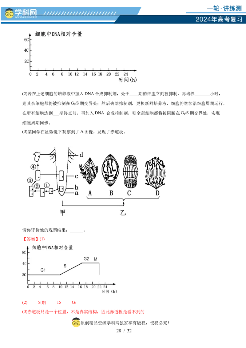 第四单元细胞的生命历程（测试）（解析版）_2024年新高考资料_1.2024一轮复习_2024年高考生物一轮复习讲练测（新教材新高考）